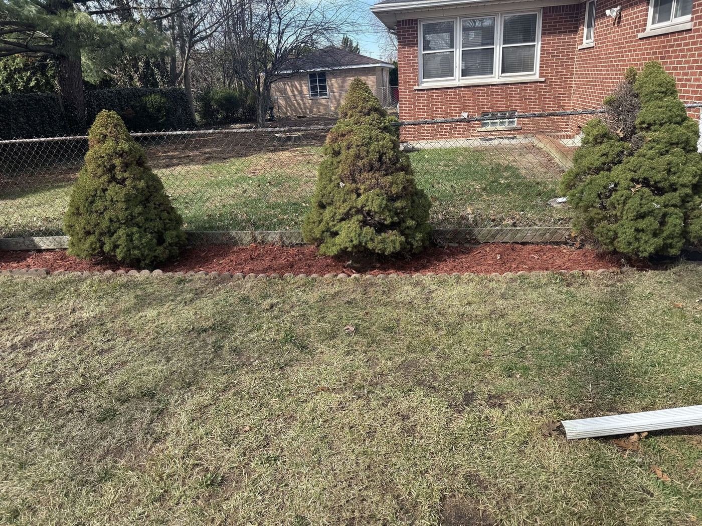Freshly mowed lawn