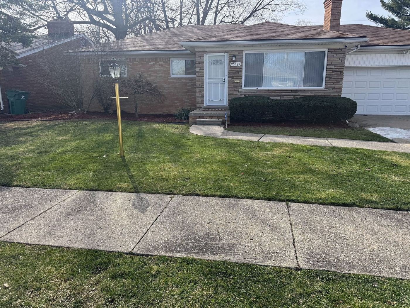 Backyard freshly trimmed