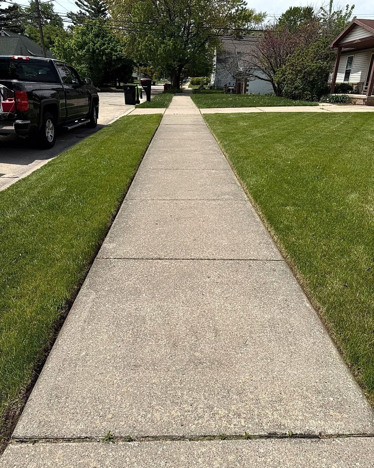Driveway edge with healthy grass