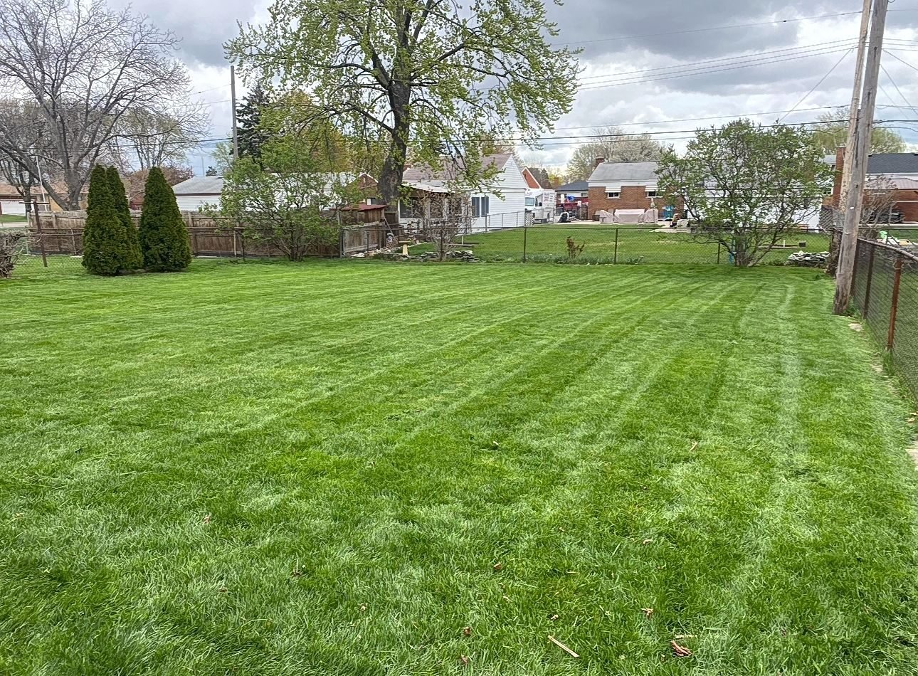 Front yard maintenance