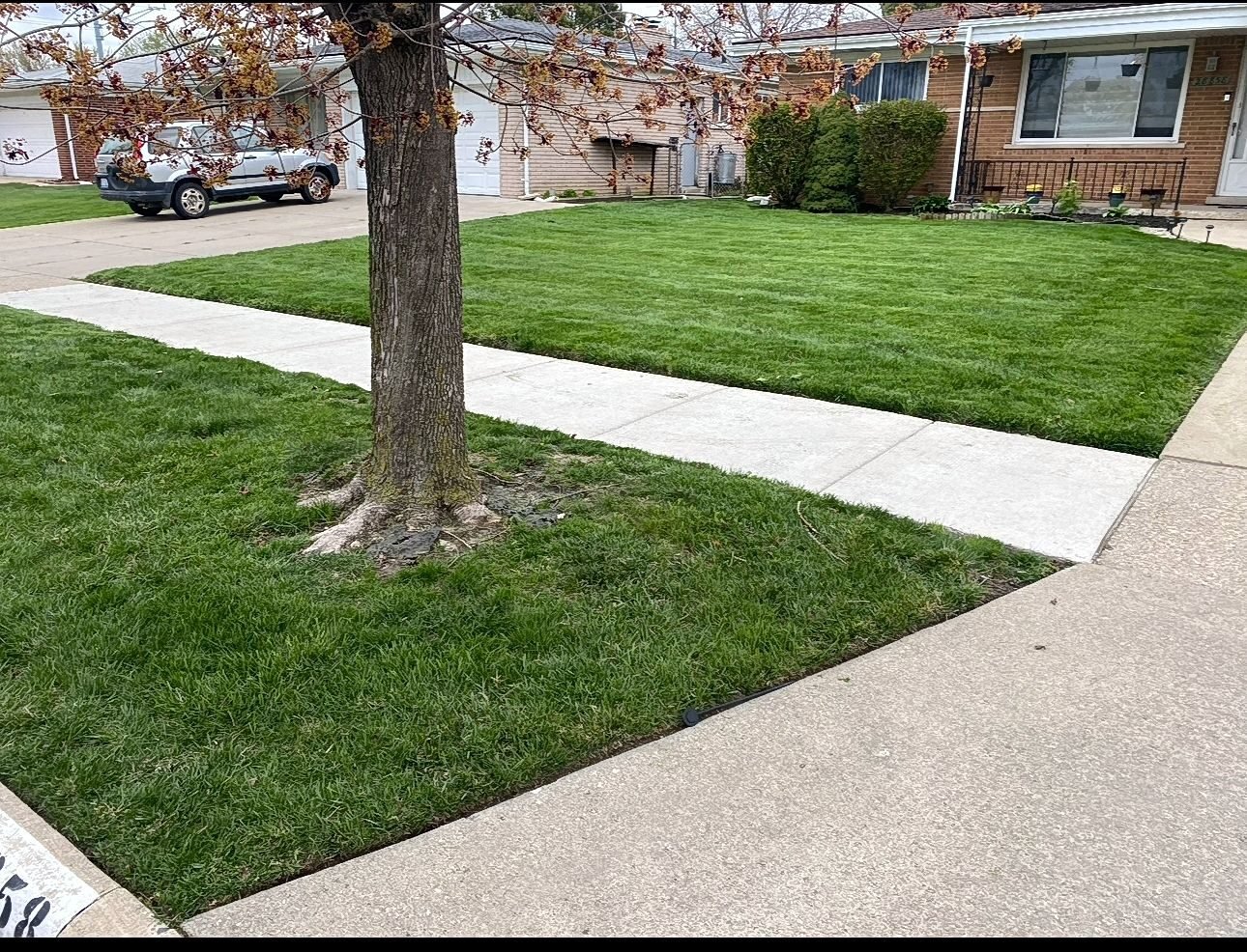 Property edging