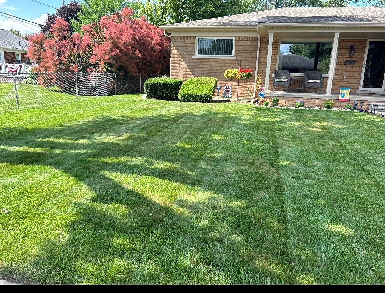 Fresh-cut grass detail